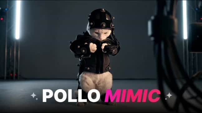 High-Energy Food Reveal Sequences